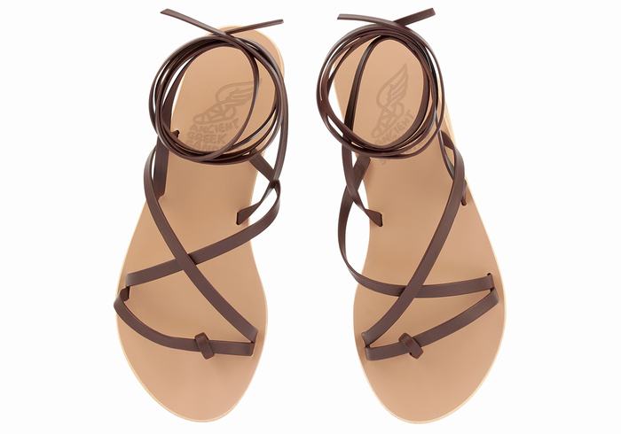 Sandales De Gladiateur Ancient Greek Sandals Morfi Leather   | RJV-8113465